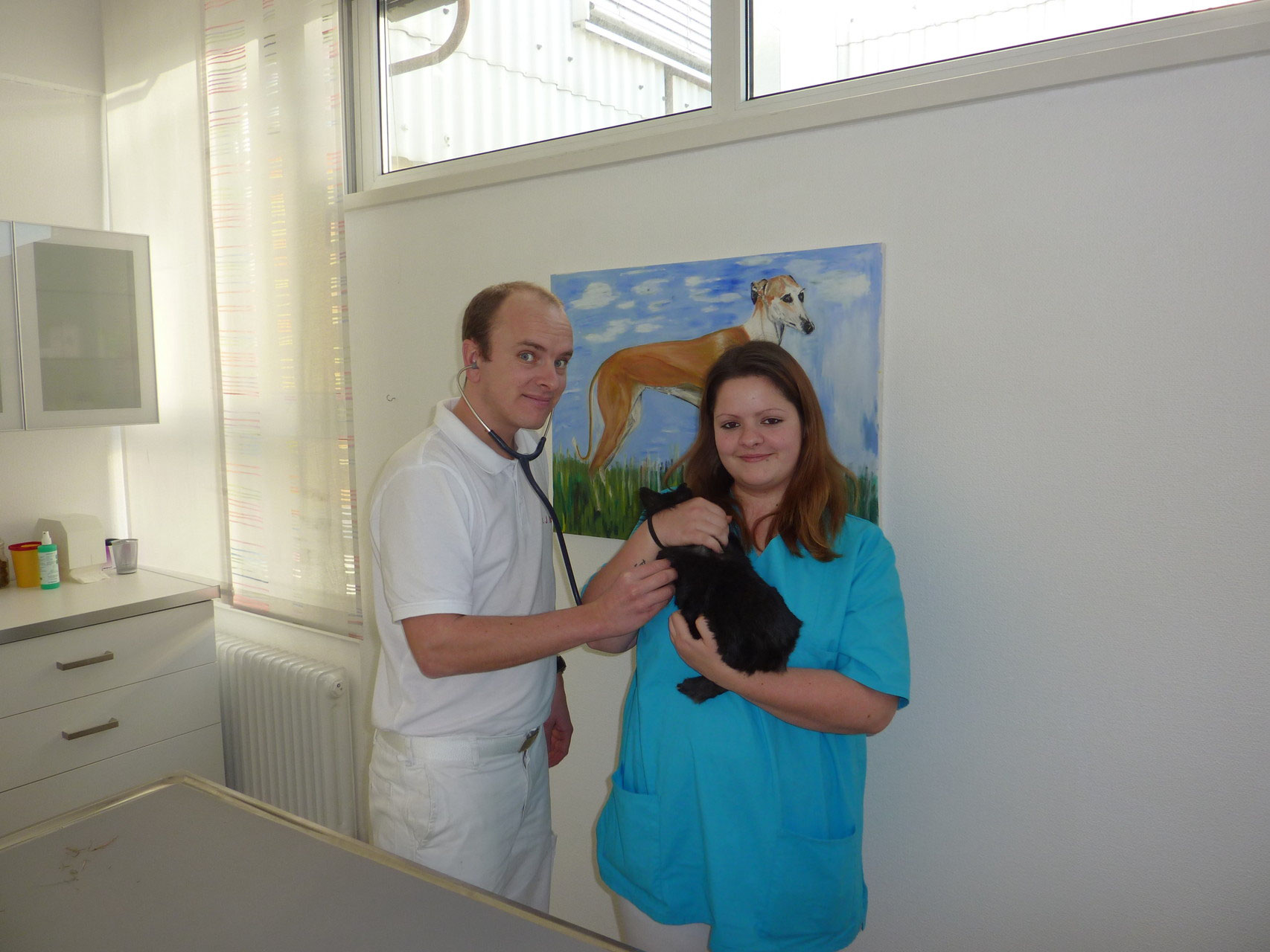 Dr. Schäfer und eine Tiermedizinische Fachangestellte untersuchen eine Katze