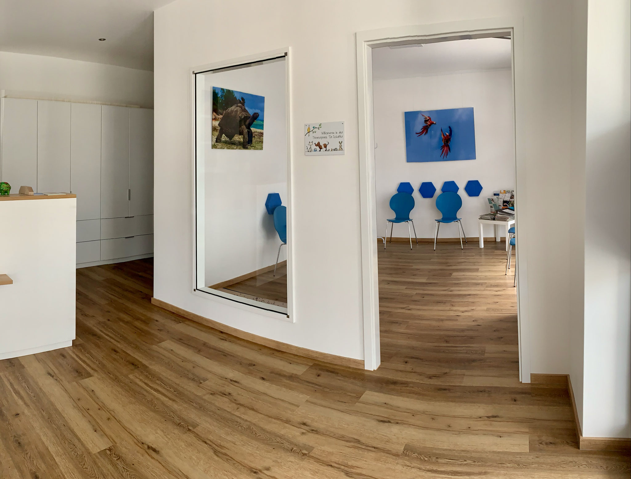 Empfangsbereich mit Blick ins Wartezimmer