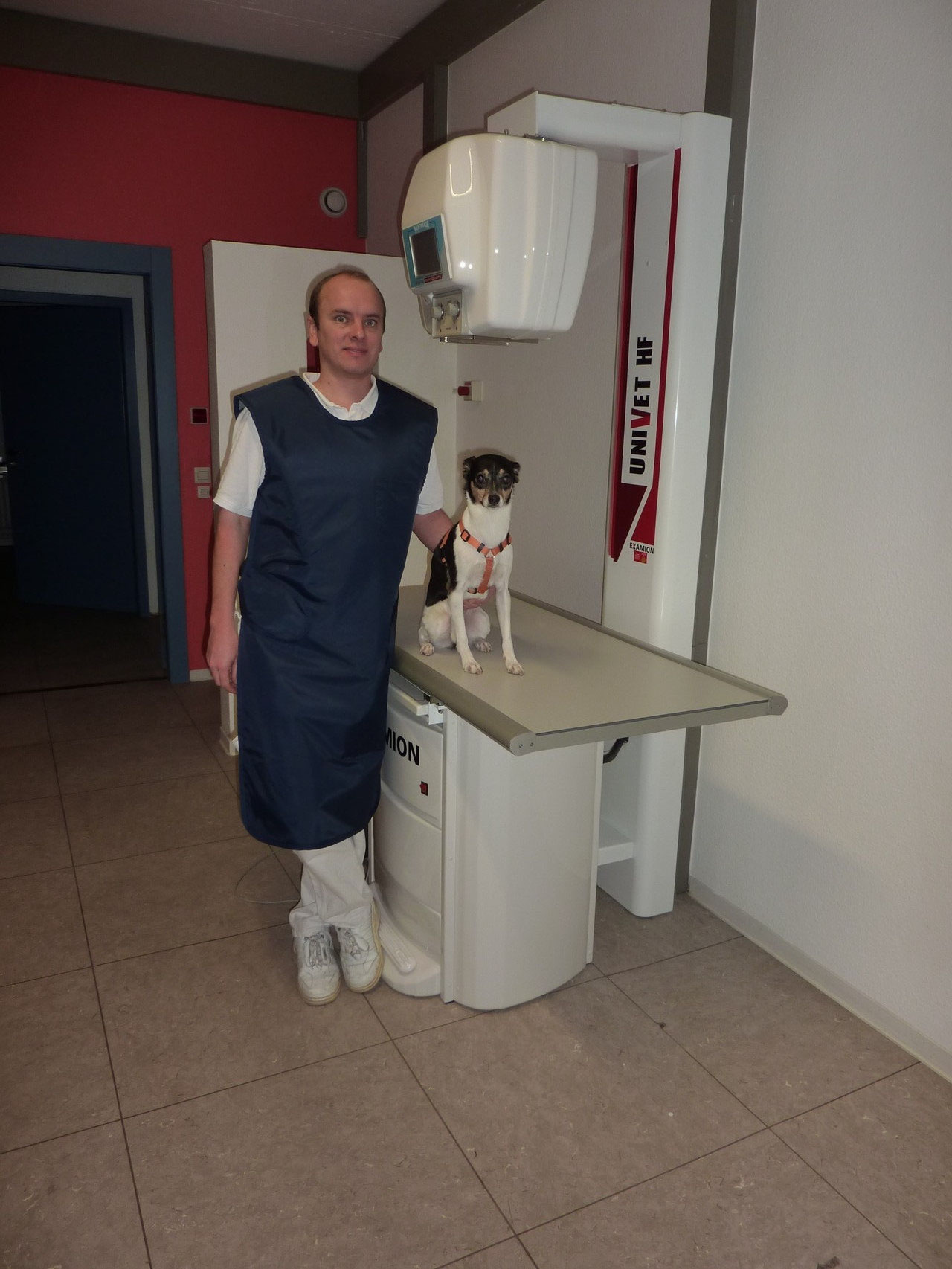 Tierarzt in Röntgenschutzkleidung mit einem Hund am digitalen Röntgengerät