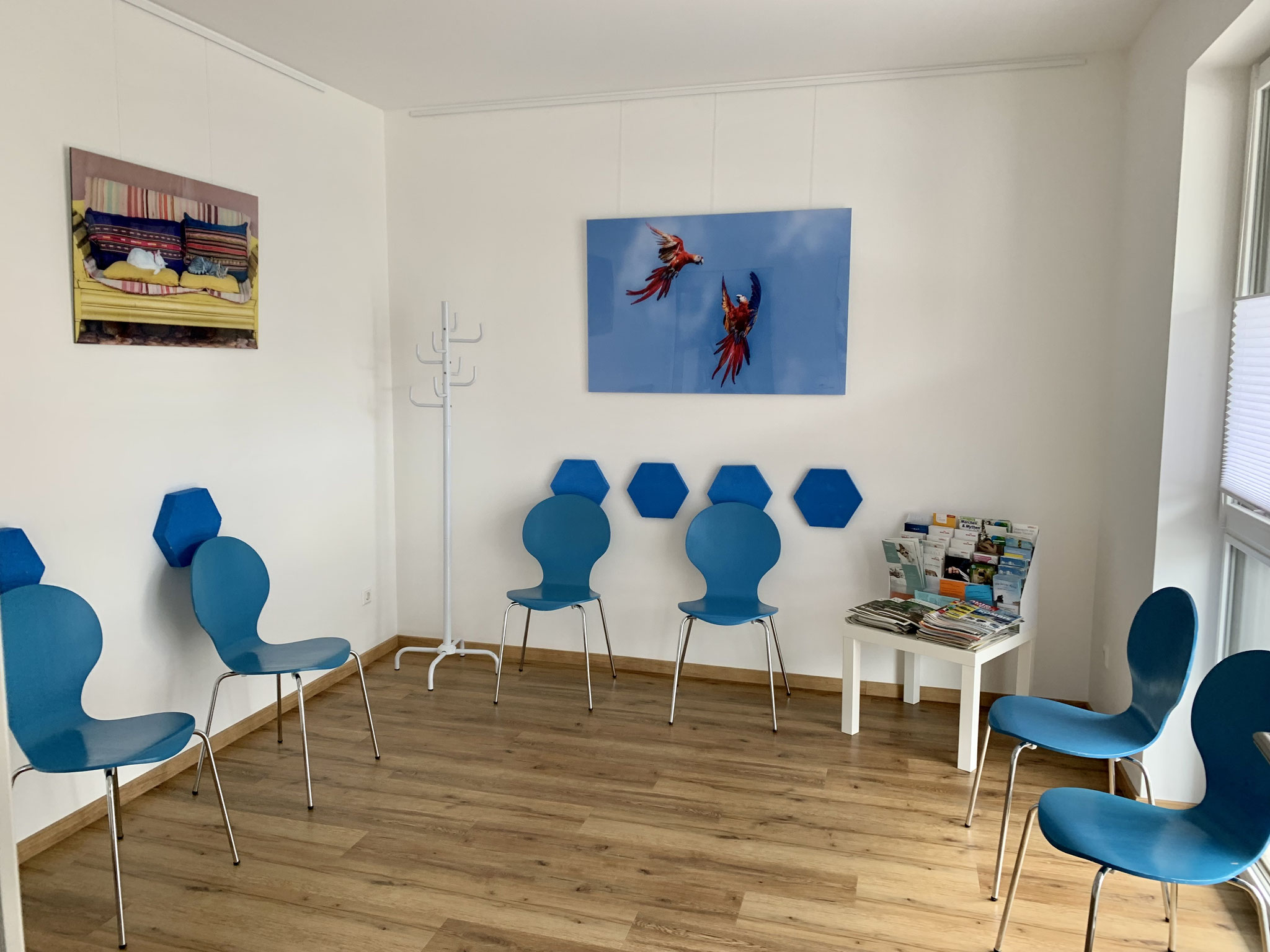 Freundliches Wartezimmer mit blauen Stühlen